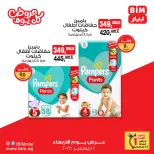 الانتقال إلى الصفحة 13 من 13