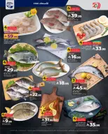 الانتقال إلى الصفحة 4 من 10