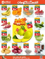 الانتقال إلى الصفحة 25 من 28