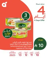 Panda Saudi Arabia Offers from 10 to 13 December 2025 4Days Deal