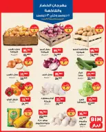 BIM Market Egypt Offers from 11 to 13 December 2025 Vegetable and Fruit Festival Offers - Page 1