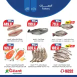 الانتقال إلى الصفحة 7 من 8