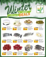 Agricultural food Kuwait Offers from 10 to 13 December 2025 Winter Deals