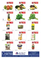 الانتقال إلى الصفحة 31 من 32