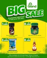 الانتقال إلى الصفحة 2 من 4