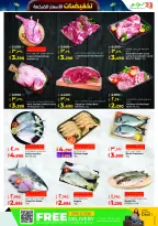 الانتقال إلى الصفحة 15 من 58