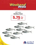 الانتقال إلى الصفحة 5 من 8