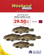 الانتقال إلى الصفحة 6 من 8