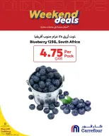 الانتقال إلى الصفحة 3 من 8