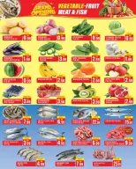 الانتقال إلى الصفحة 3 من 12