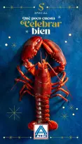 ALDI Spain Offers from 10 to 16 December 2025 Celebrate Every Day with Special Deals