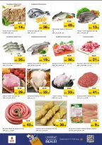 الانتقال إلى الصفحة 20 من 28