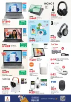 Offres Nesto  Dubai  de 11 à 14 décembre Festival des fleurs d'hiver à la succursale de Dragon Mart 2