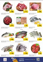 الانتقال إلى الصفحة 16 من 32