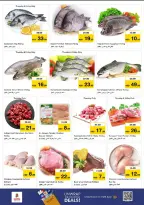 الانتقال إلى الصفحة 13 من 22