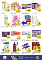 الانتقال إلى الصفحة 15 من 22