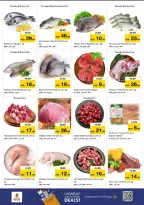 الانتقال إلى الصفحة 13 من 20