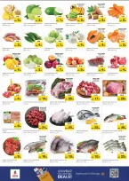 عروض نستو  الشارقة  من 11 حتى 14 ديسمبر 2025 مهرجان إزهار الشتاء بفرع ميا مول