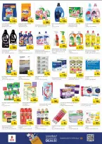 عروض نستو  الشارقة  من 11 حتى 14 ديسمبر 2025 مهرجان إزهار الشتاء بفرع ميا مول