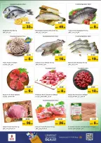 الانتقال إلى الصفحة 23 من 35