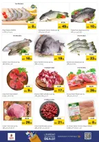 Nesto  Sharjah  Offers from 11 to 14 December Winter Blossom Festival at Al Arab Mall Branch