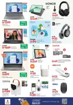 Nesto  Sharjah  Offers from 11 to 14 December Winter Blossom Festival at Al Arab Mall Branch