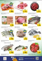 الانتقال إلى الصفحة 28 من 39