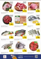 الانتقال إلى الصفحة 22 من 32