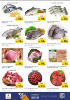 الانتقال إلى الصفحة 21 من 32