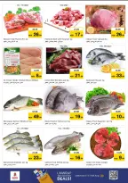 الانتقال إلى الصفحة 17 من 30