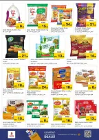 الانتقال إلى الصفحة 11 من 17