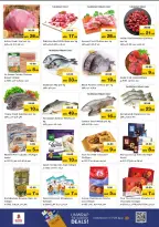 الانتقال إلى الصفحة 13 من 17