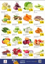 عروض نستو  عجمان  من 11 حتى 14 ديسمبر 2025 مهرجان إزهار الشتاء بفرع صناعية