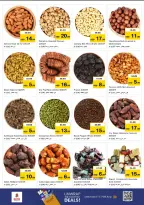 عروض نستو  عجمان  من 11 حتى 14 ديسمبر 2025 مهرجان إزهار الشتاء بفرع صناعية