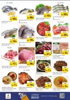 عروض نستو  عجمان  من 11 حتى 14 ديسمبر 2025 مهرجان إزهار الشتاء بفرع صناعية