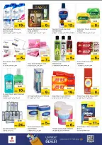 عروض نستو  عجمان  من 11 حتى 14 ديسمبر 2025 مهرجان إزهار الشتاء بفرع صناعية