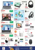 عروض نستو  عجمان  من 11 حتى 14 ديسمبر 2025 مهرجان إزهار الشتاء بفرع صناعية