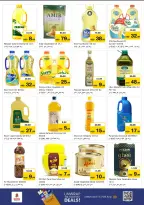 عروض نستو  عجمان  من 11 حتى 14 ديسمبر 2025 مهرجان إزهار الشتاء بفرع صناعية