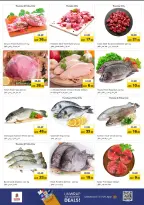 الانتقال إلى الصفحة 19 من 36