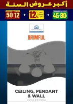 الانتقال إلى الصفحة 247 من 281