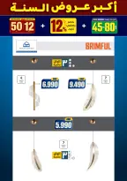 الانتقال إلى الصفحة 182 من 281