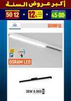 الانتقال إلى الصفحة 32 من 281