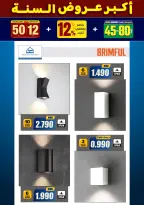 الانتقال إلى الصفحة 229 من 281