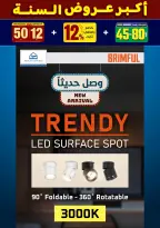 الانتقال إلى الصفحة 21 من 281