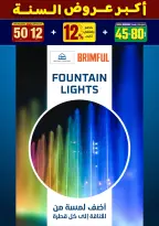 الانتقال إلى الصفحة 242 من 281