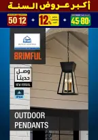 الانتقال إلى الصفحة 217 من 281