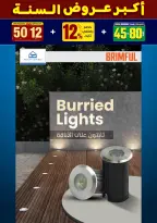 الانتقال إلى الصفحة 237 من 281