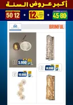 الانتقال إلى الصفحة 209 من 281