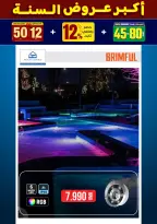 الانتقال إلى الصفحة 245 من 281