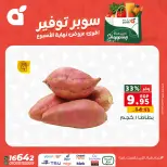 الانتقال إلى الصفحة 23 من 24